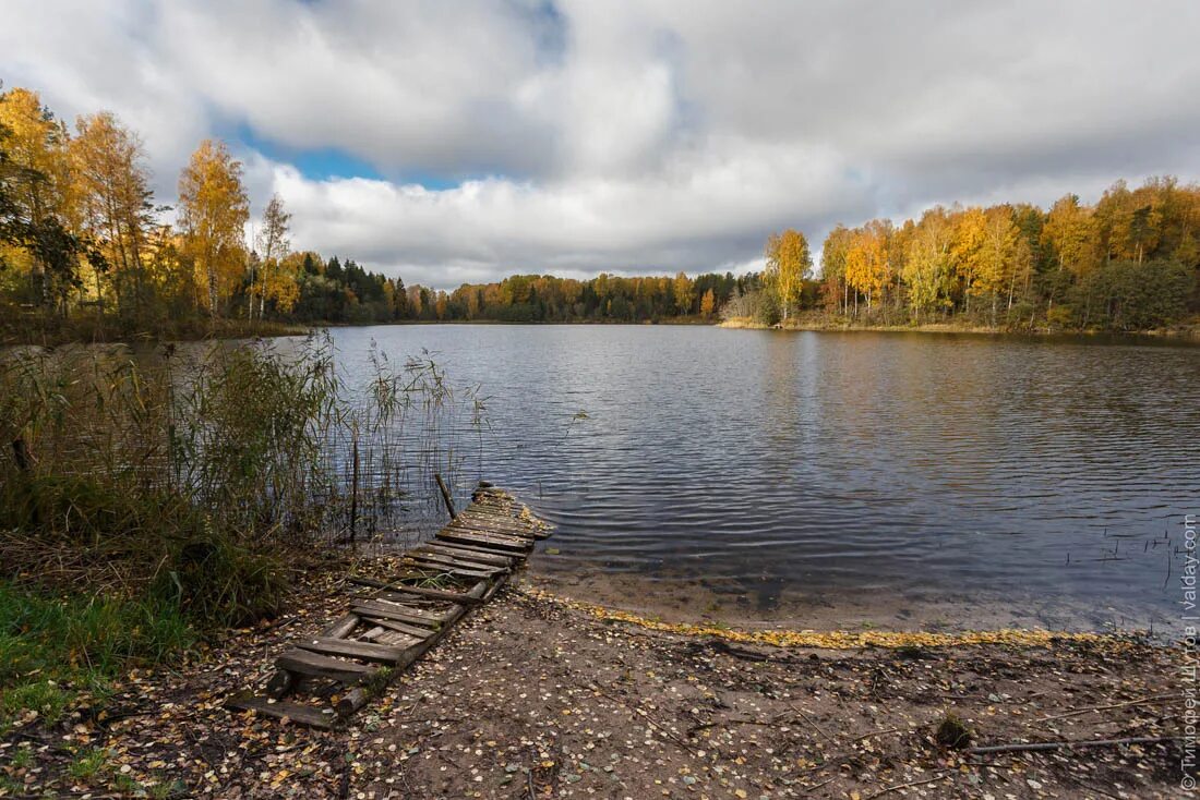 Озеро велье фото Осень на озере Вельё / Валдайский форум