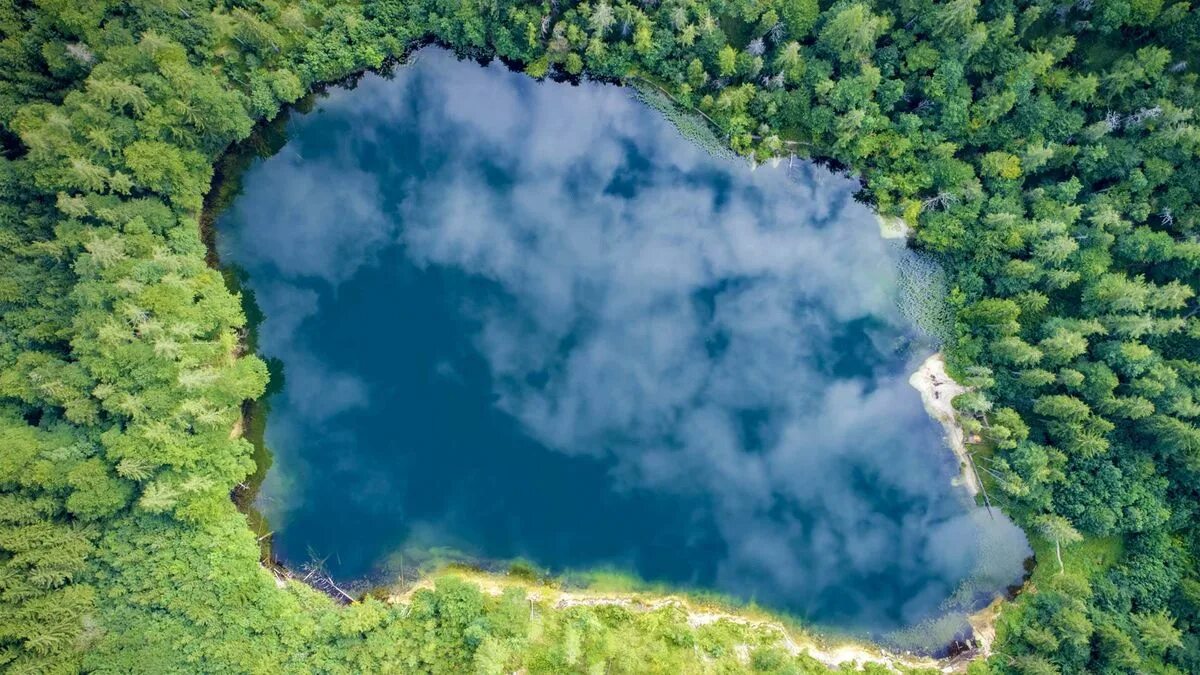 Озеро вережун фото Топосъемка дна водоема - услуга в Москве по выгодной цене ЦИИАК