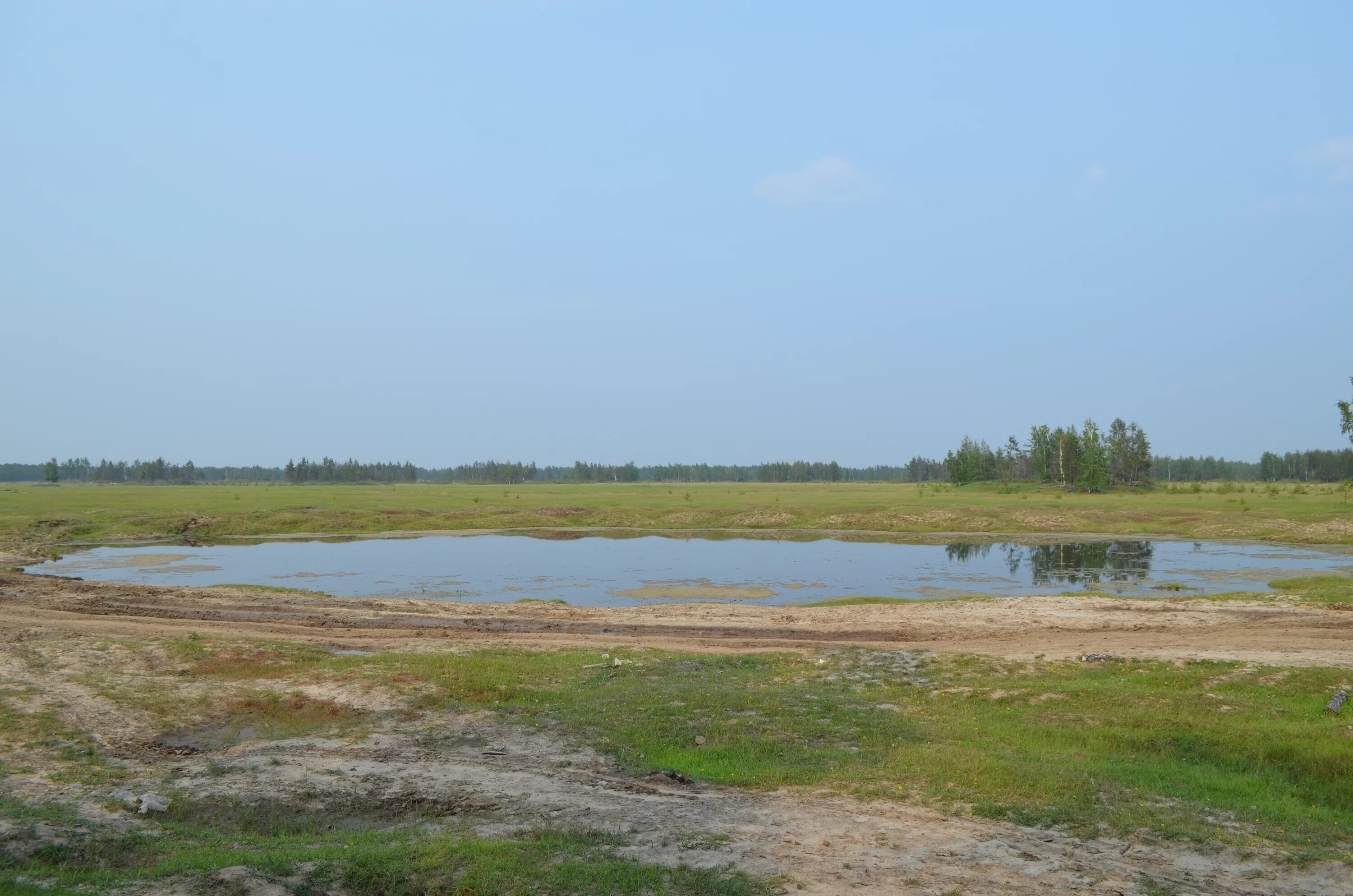 Озеро верховое в новосибирске фото File:310 Верховое озерцо.jpg - Wikimedia Commons