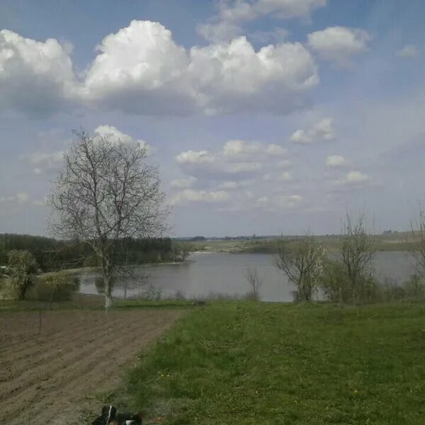 Озеро верховое в новосибирске фото Верхов озеро