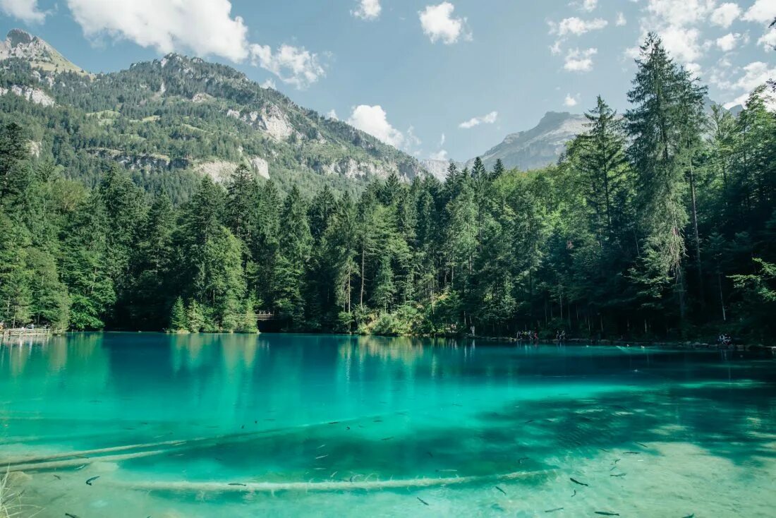 Озеро вертикальное фото Download Clear Lake, Forest & Mountains Royalty Free Stock Photo and Image