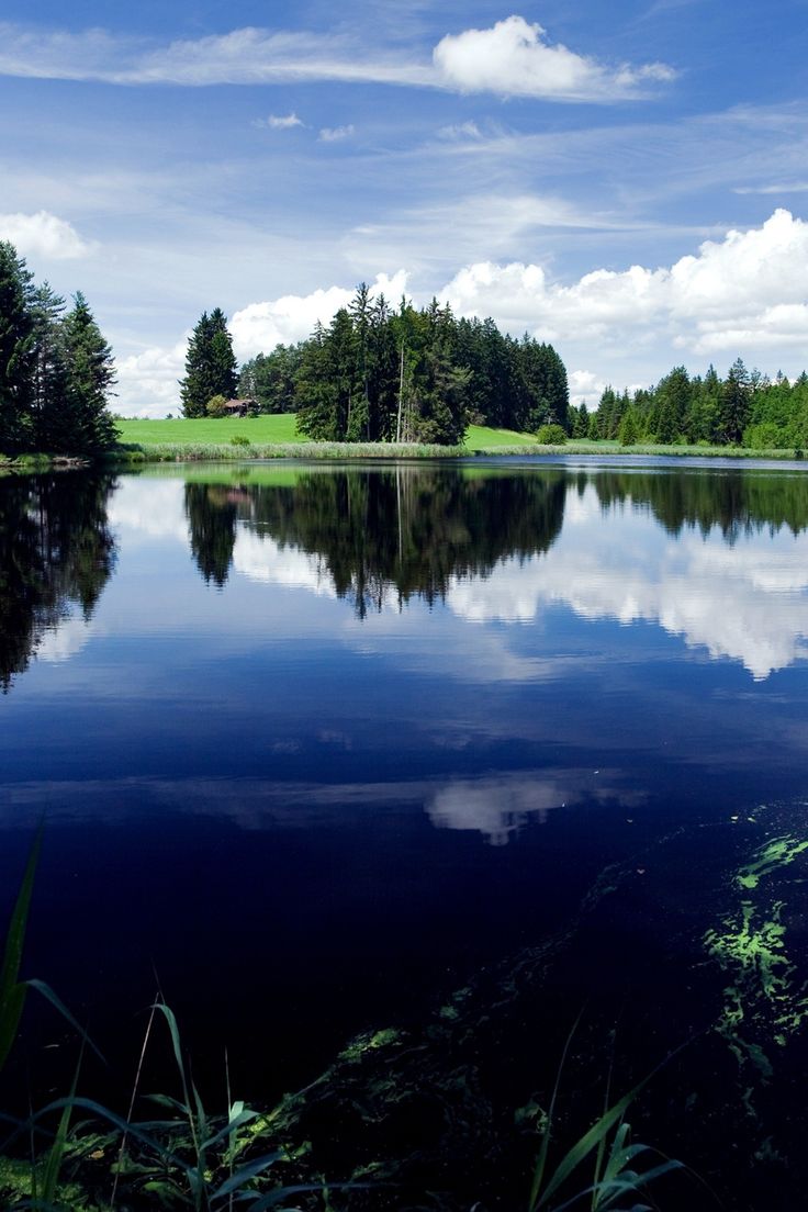 Озеро вертикальное фото the best of nature photo Nature photos, Summer landscape, Landscape photography
