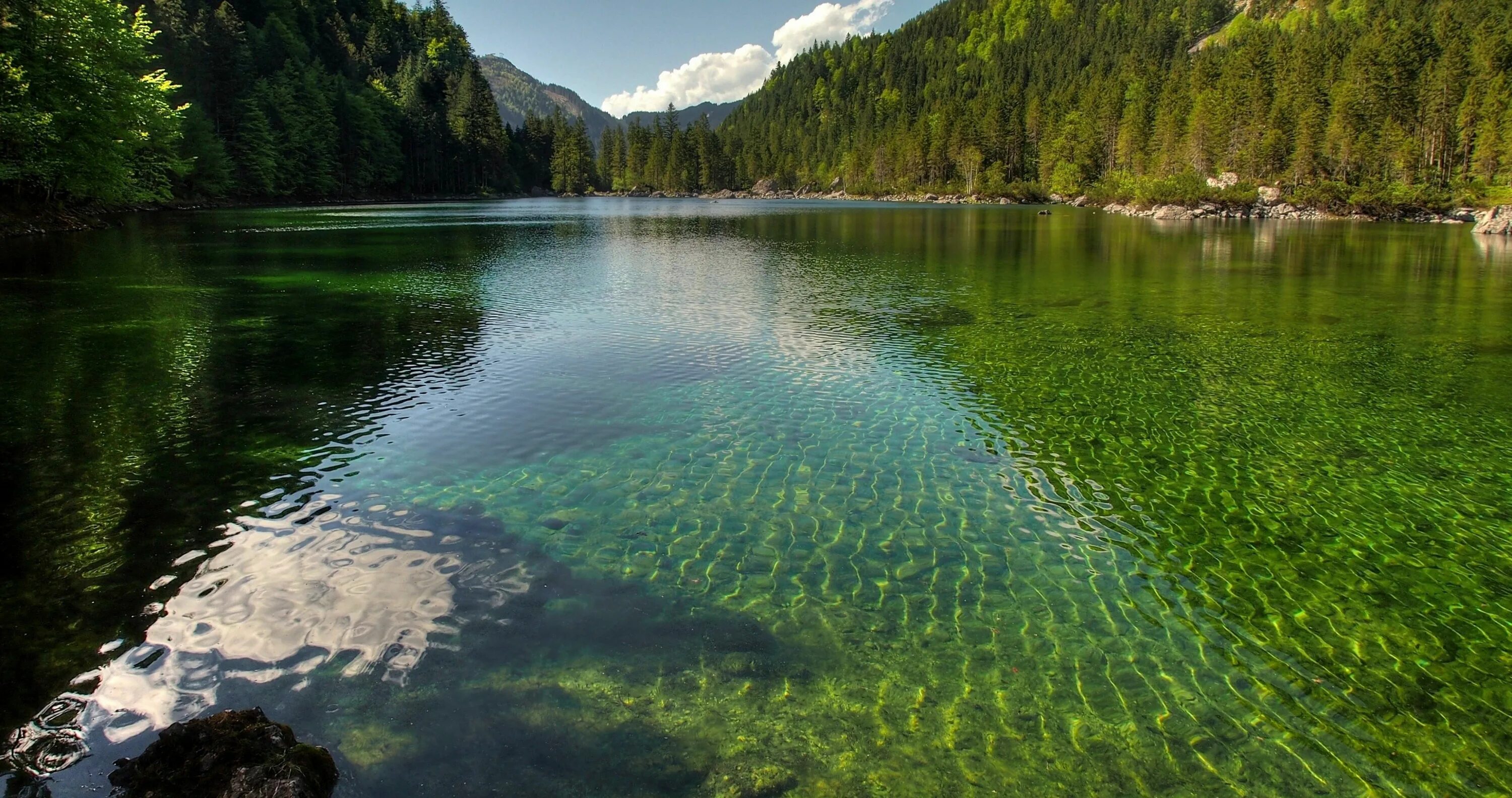 Озеро веры фото #austria #bosque #lago #naturaleza #4K #wallpaper #hdwallpaper #desktop Forest l