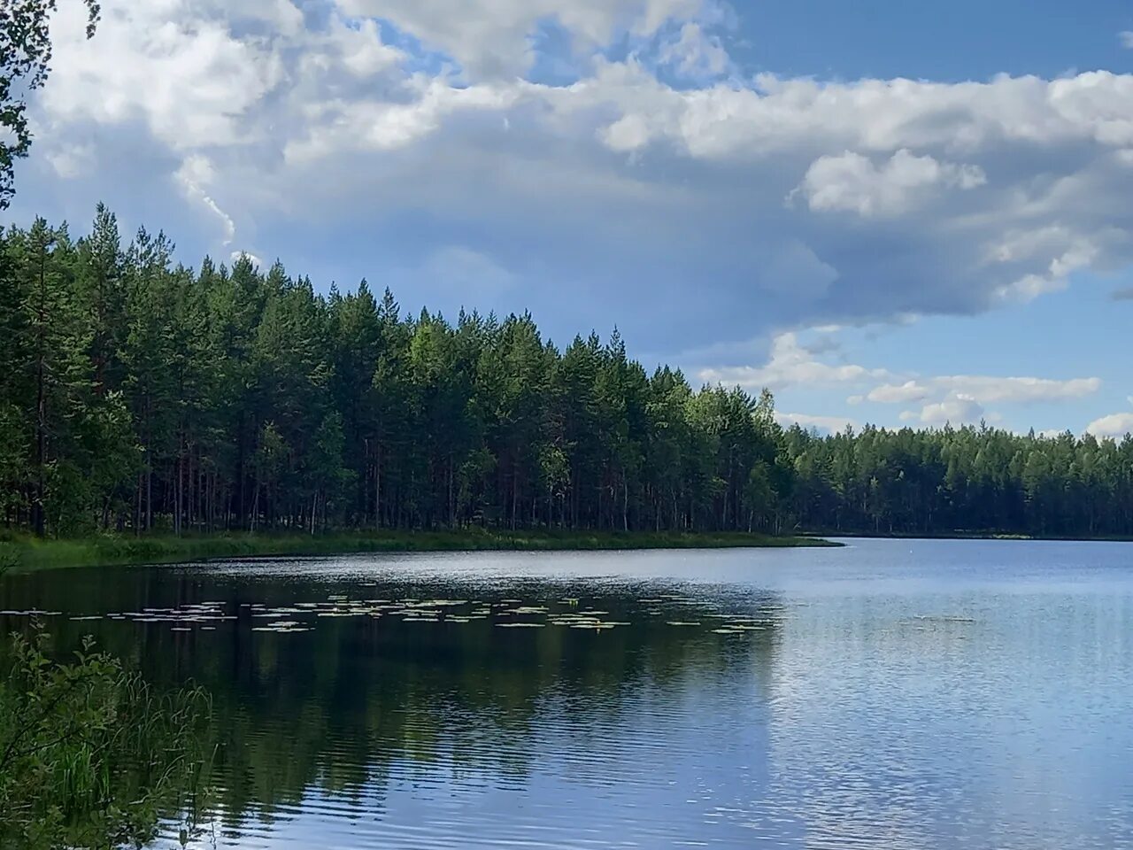 Озеро видное приозерский район фото По Приозерскому району. Неизвестные красоты. Воробьево озеро - самое прозрачное 