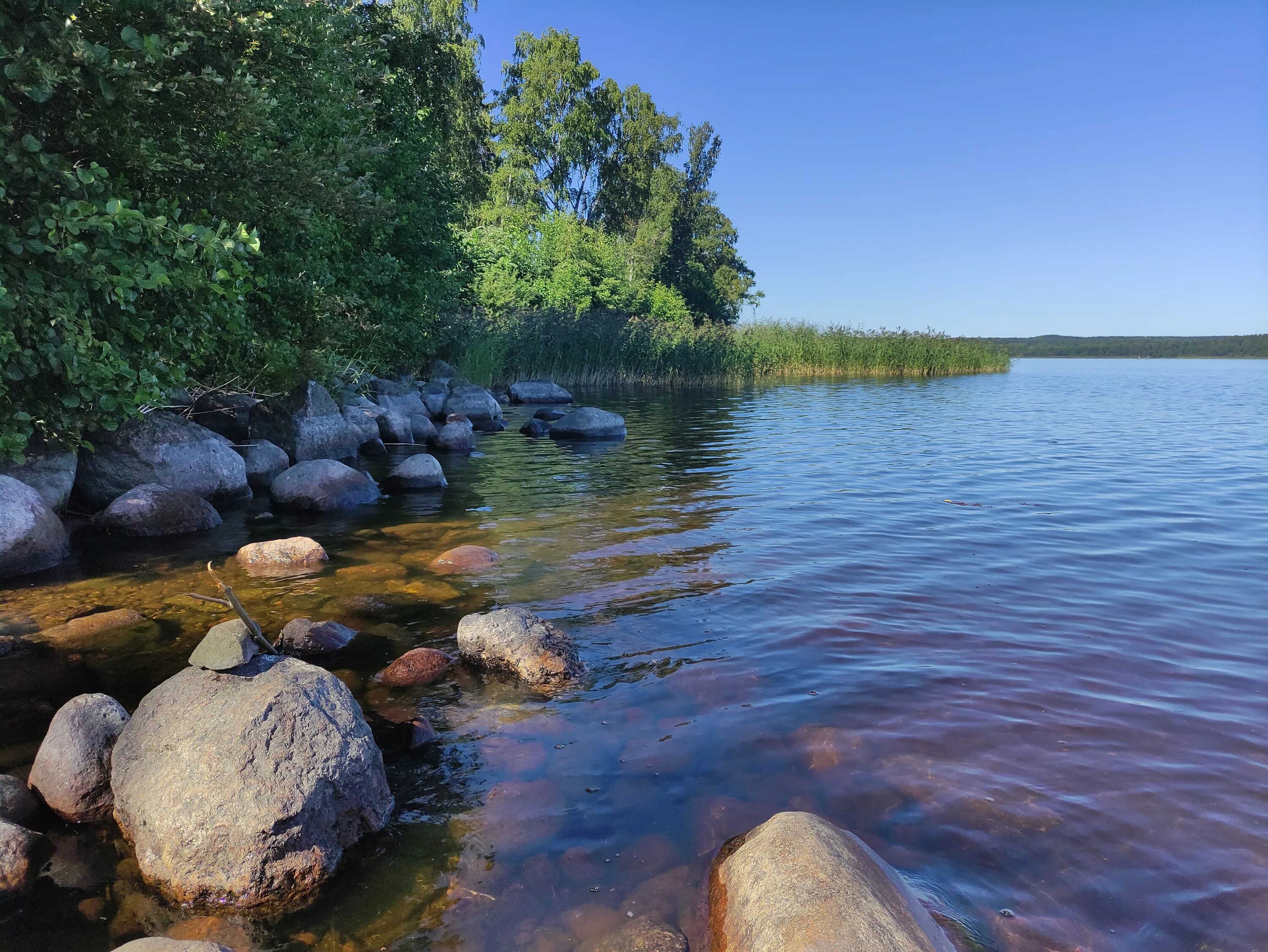 Озеро видное приозерский район фото Фото: База отдыха Парус, турбаза, Ленинградская область, Приозерский район, Петр