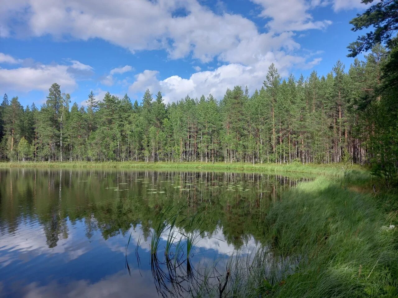 Озеро видное приозерский район фото По Приозерскому району. Неизвестные красоты. Воробьево озеро - самое прозрачное 