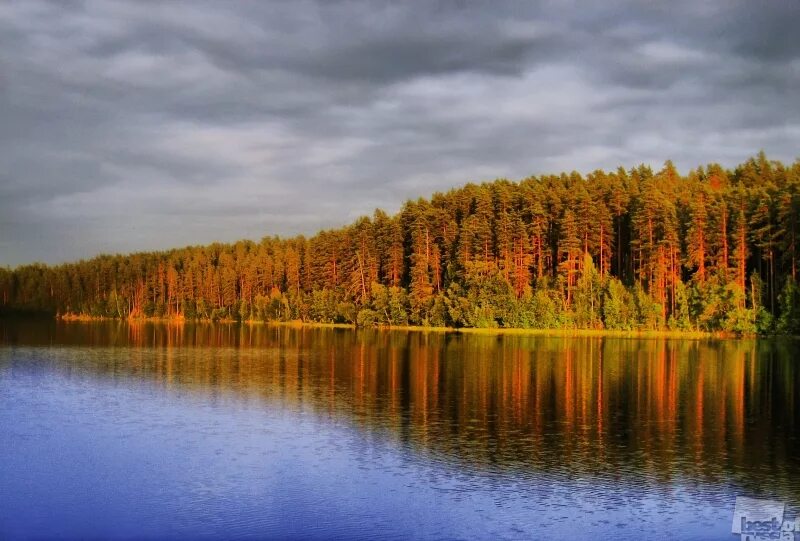 Озеро видное приозерский район фото The Best Of Russia 2017