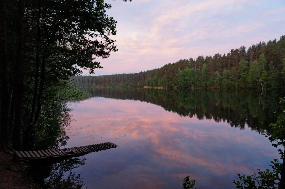 Озеро видное приозерский район фото Лучшие места для рыбалки в Санкт-Петербурге и Ленинградской области в 2023 году 