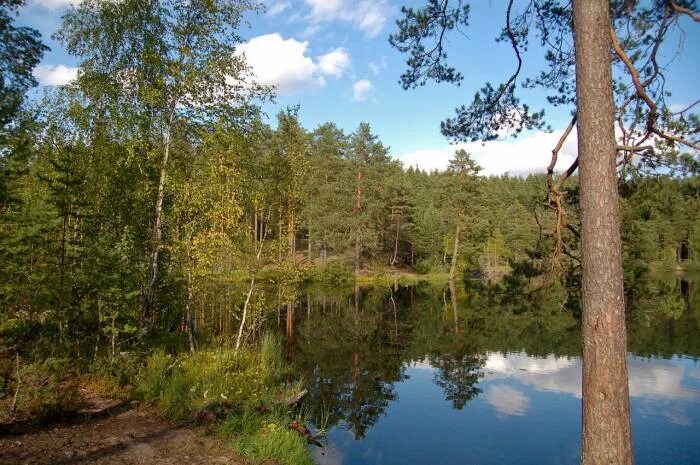 Озеро видное приозерский район фото Залив селезневский озеро уловное - Фото