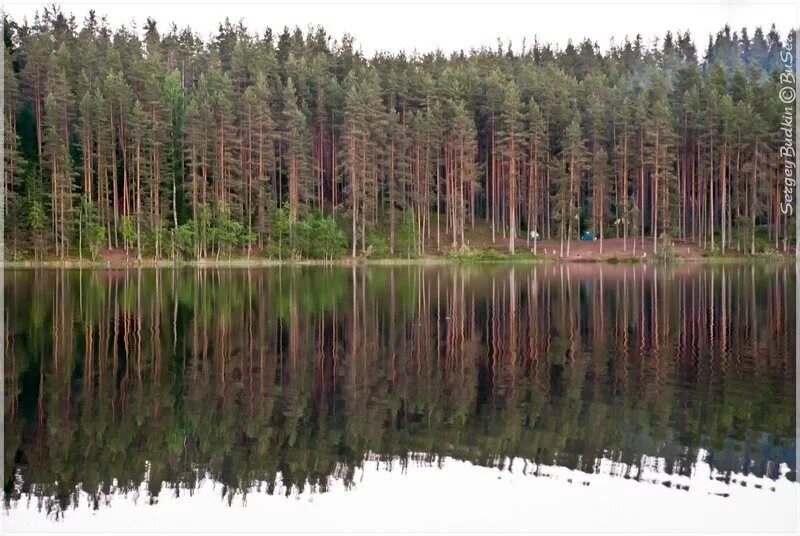 Озеро видное приозерский район фото Отдыха сезон понимаешь ли открыт! :): buser - ЖЖ