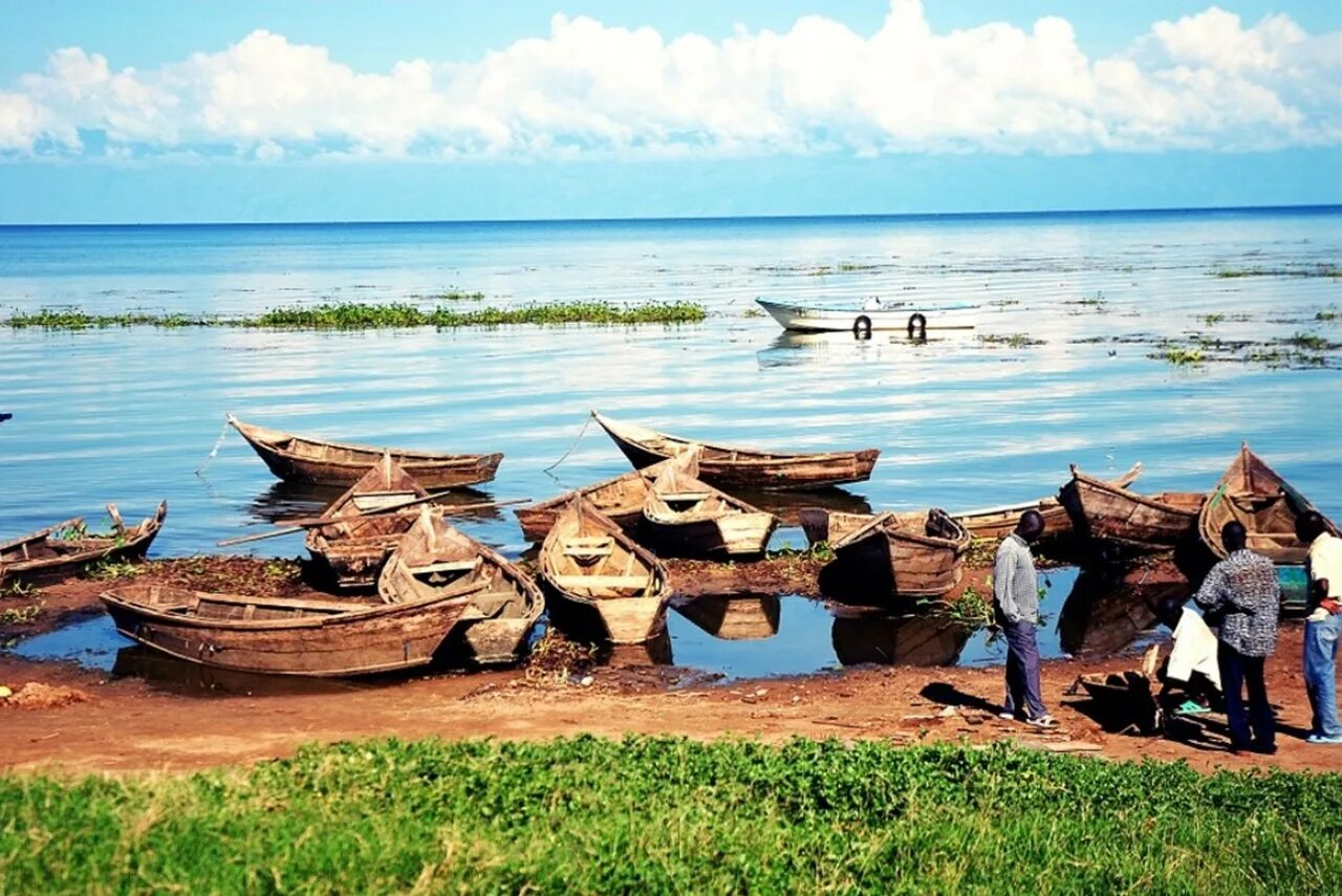 Озеро виктория в африке фото Lake Victoria - Why Africa’s largest lake looks ugly