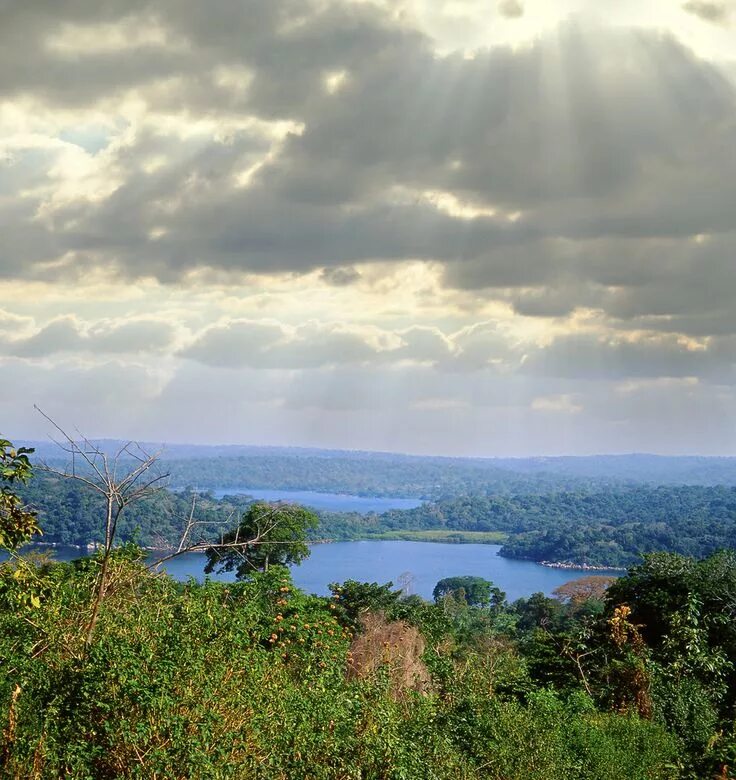 Озеро виктория в африке фото Lake Victoria, Uganda, East Africa