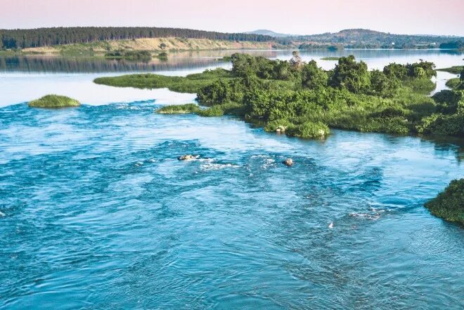 Озеро виктория в африке фото GISMETEO: Подъем воды в африканском озере Виктория стал катастрофическим