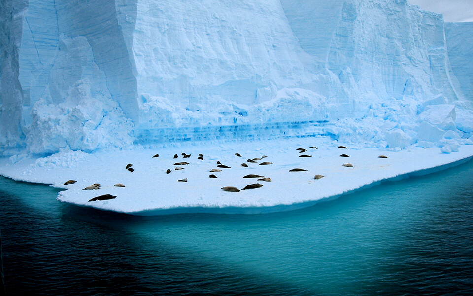 Озеро восток фото Google Chrome Background - HD - Random ... 3726