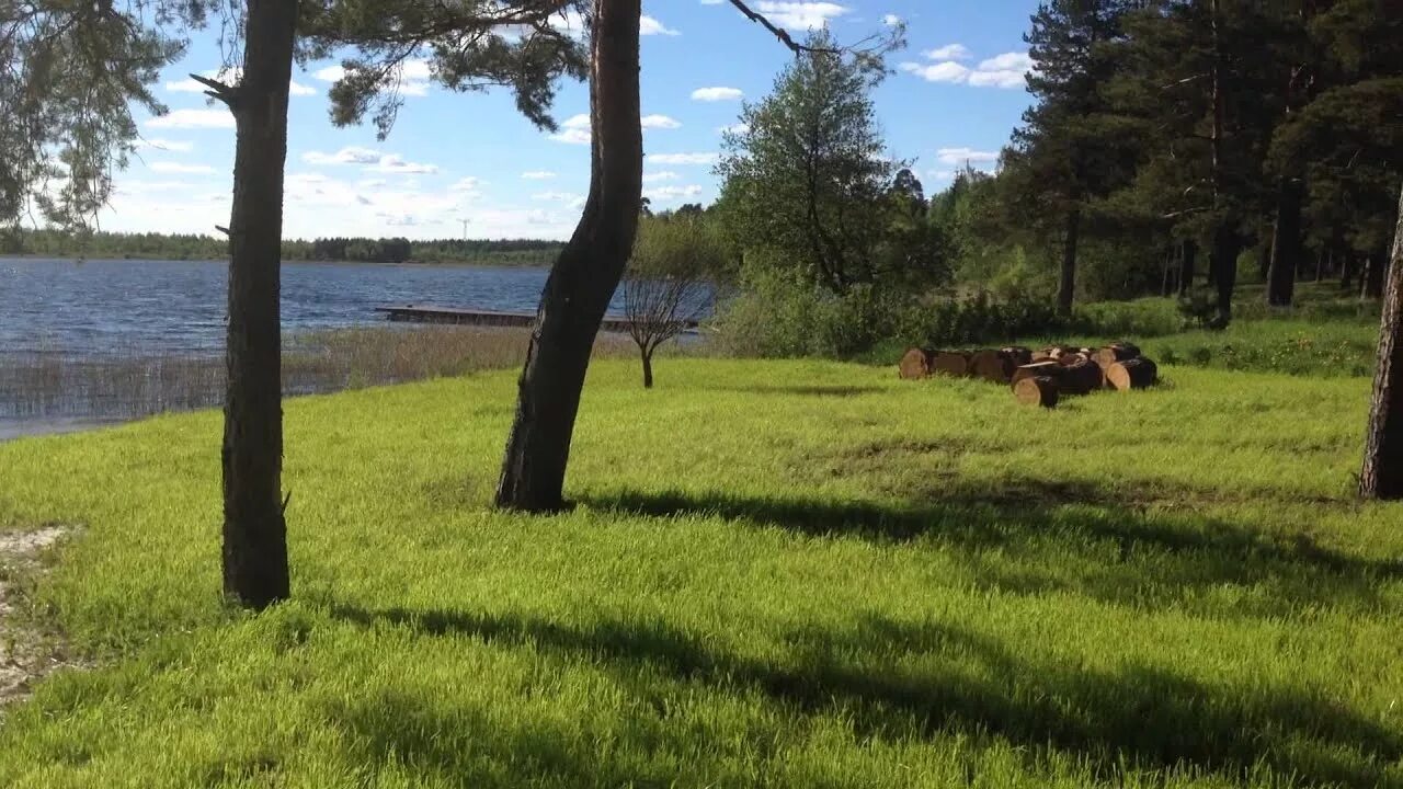 Озеро врево лужский район фото Территория дачного поселка "Озеро Врево" - YouTube