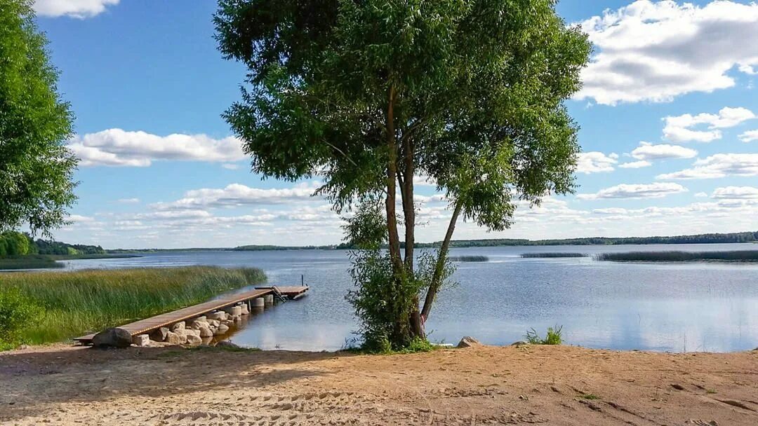 Озеро врево лужский район фото База отдыха Озеро Врево в Луге, Ленинградская область, цены от 4500 руб. с услуг