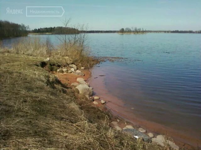 Озеро врево лужский район фото Озеро Врево, housing complex, Russia, Leningrad Region, Luzhskiy rayon, sadovyye