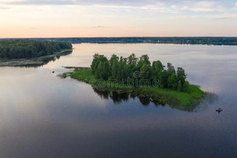Озеро врево лужский район фото Island on Lake Vrevo, Leningrad Region, Russia. Northern Nature of Russia Stock 