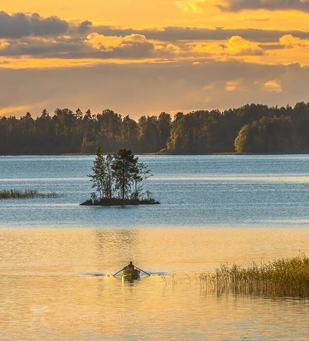 Озеро вуокса остров снегирь фото Летнее плавание / Озеро Вуокса Приозерский район Из фотопроекта "Магия Ленинград