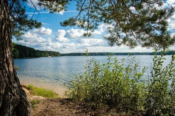 Озеро яльчик марий фото Rubin, resort, Россия, посёлок Яльчик, улица Карпушкина Мельница, 20 - Yandex Ma