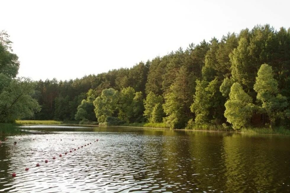 Озеро яльчики фото Outdoor camps - Kazan Federal University