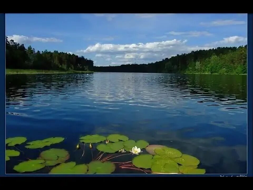 Озеро яльчики фото Озеро Яльчик. 17.05.2022. - YouTube