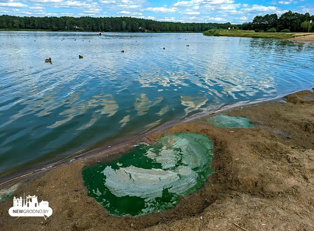 Озеро юбилейное фото NewGrodno.by в Viber
