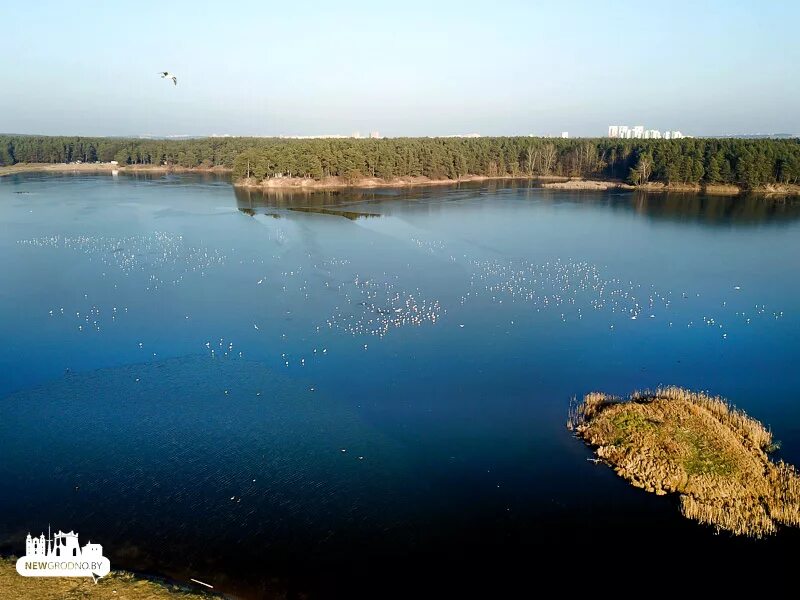 Озеро юбилейное фото Юбилейное озеро гродно - Фото
