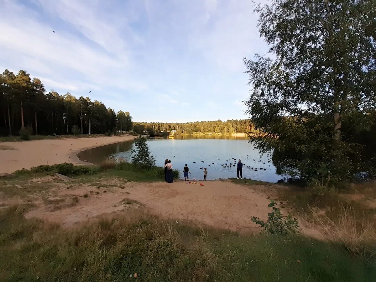 Озеро южное черноголовка фото Южное озеро Живой мир вокруг меня Дзен