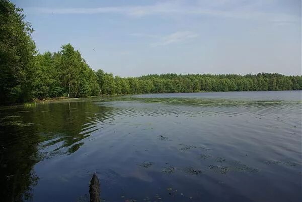 Озеро западное фото Озеро Круглец