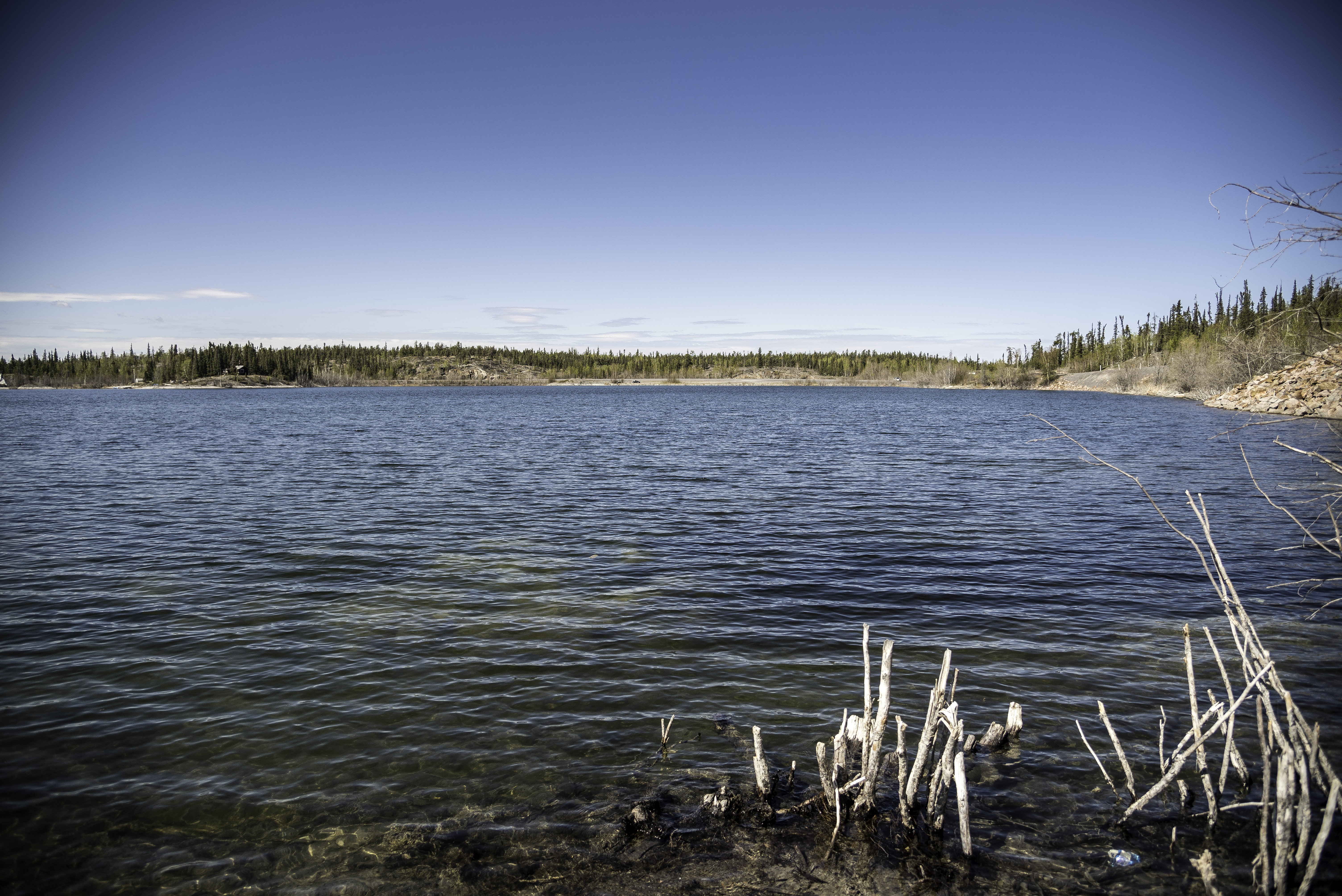 Озеро западное фото Marshy and lake landscape on the Ingraham Trail image - Free stock photo - Publi