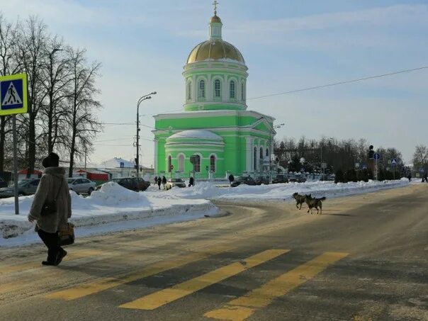 Озеры московской области фото Информация о проведенных публичных слушаниях по проекту решения Совета депутатов