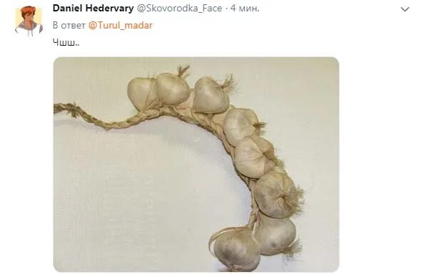 Ожерелье из чеснока фото Записи по тегу #Daniel_Hedervary Twitter.Hetalia. TH ВКонтакте