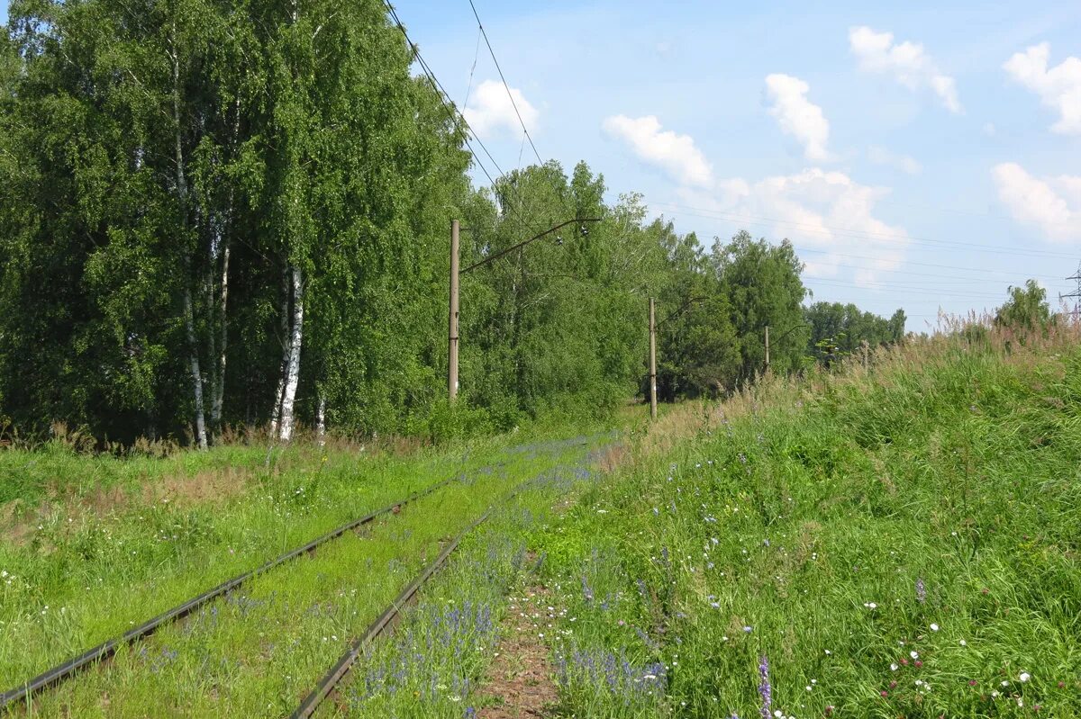 Ожерелье московская область фото Ожерелье - Кашира-Силовая - Железная дорога - ЖЖ