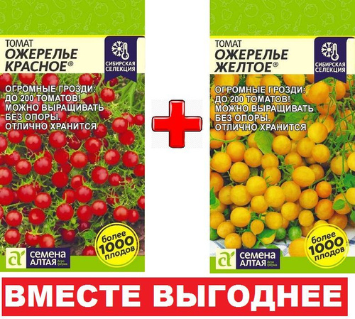 Ожерелье желтое томат отзывы фото урожайность 91 отзыв на Набор семян томатов Ожерелье красное + Ожерелье желтое (Семена Алтая