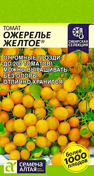 Ожерелье желтое томат отзывы фото урожайность Купить Семена Томат Ожерелье желтое от Семена Алтая, 9892