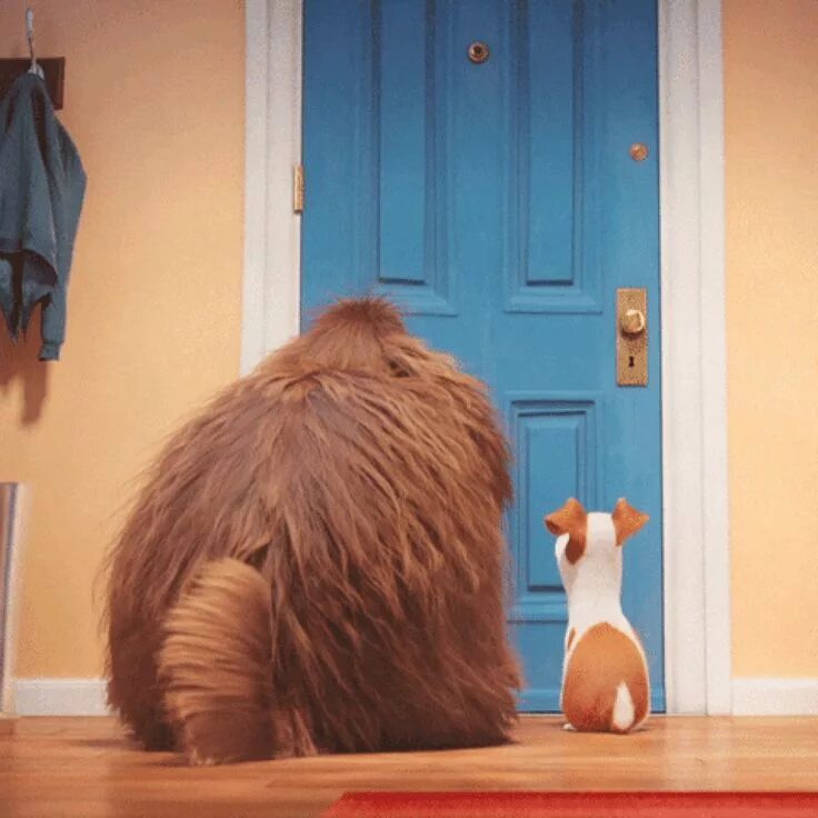 Ожидание смешное фото 31 Toys From Walmart To Reward Your Dog For Being The Goodest Boy Secret life of