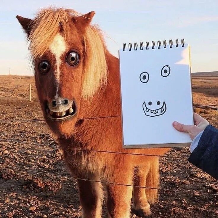 Оживить фото смешно Pin on Funny Funny kid drawings, Animals for kids, Funny doodles