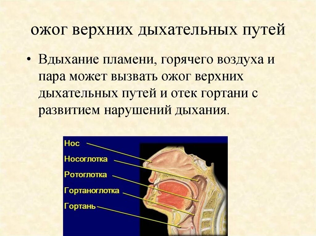 Ожог горла вейпом как выглядит Ожоги верхних: найдено 89 изображений