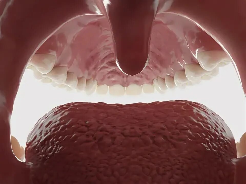 Ожог неба фото Mouth Closeup Изображения: просматривайте стоковые фотографии, векторные изображ