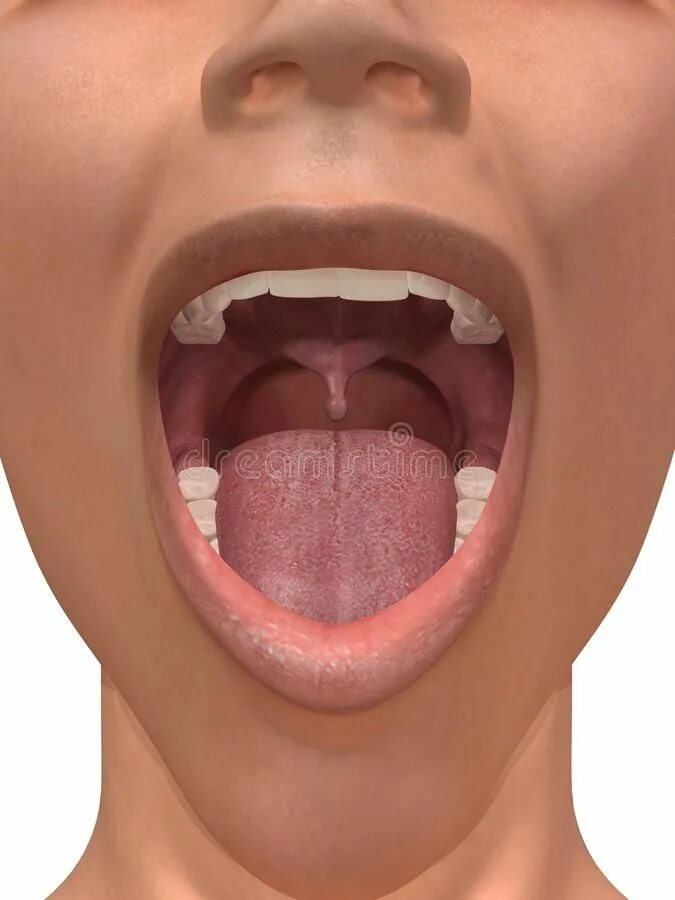 Ожог язычка в горле фото Human mouth. 3d rendered illustration of an open mouth , #Affiliate, #mouth, #Hu