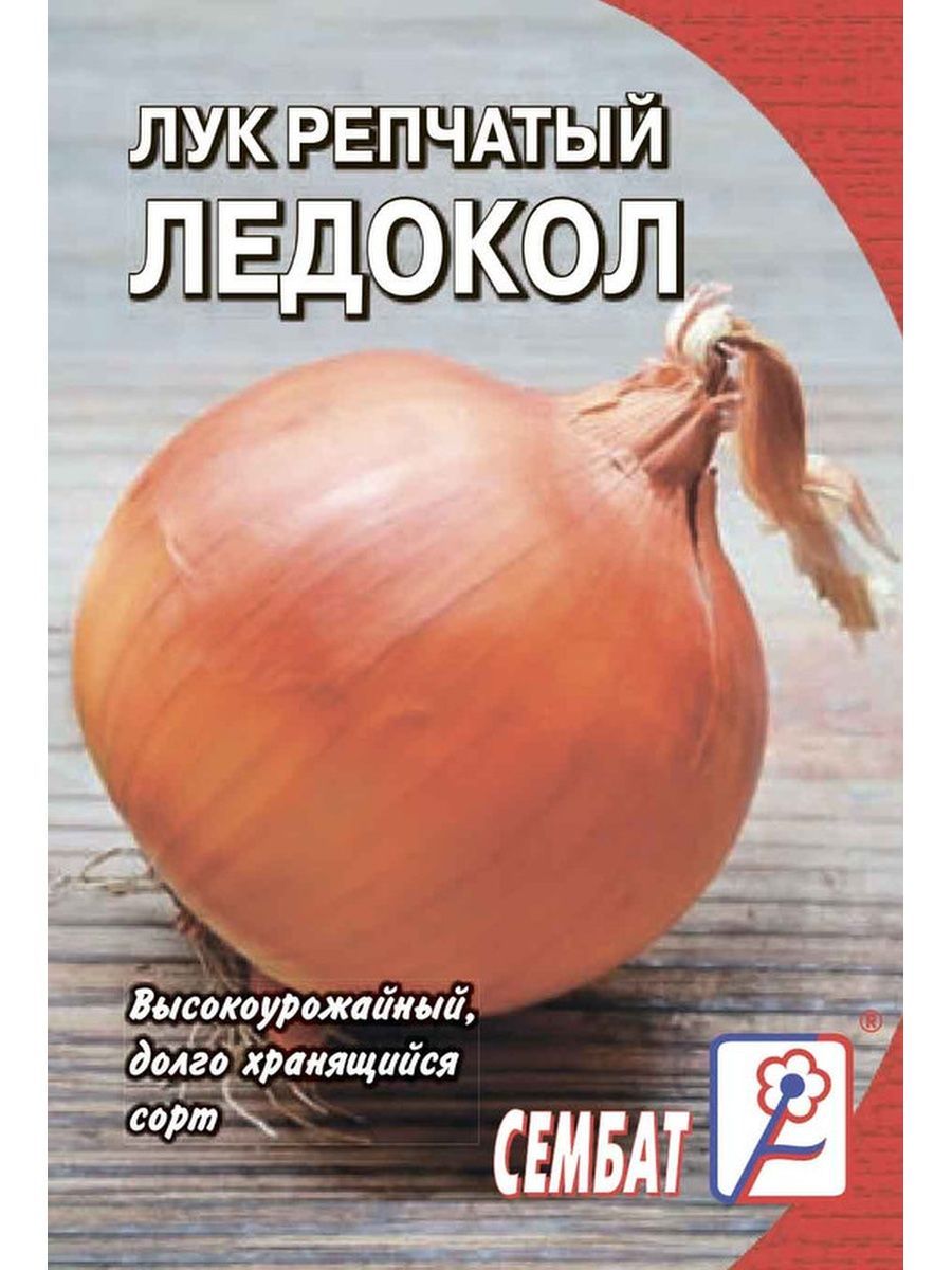 Озимый лук ледокол описание и отзывы фото Лук Сембат Лук Стандарт - купить по выгодным ценам в интернет-магазине OZON (869