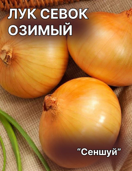 Озимый лук сеншуй описание отзывы и фото Луковицы Лук Калатея купить по выгодной цене в интернет-магазине OZON (116925476