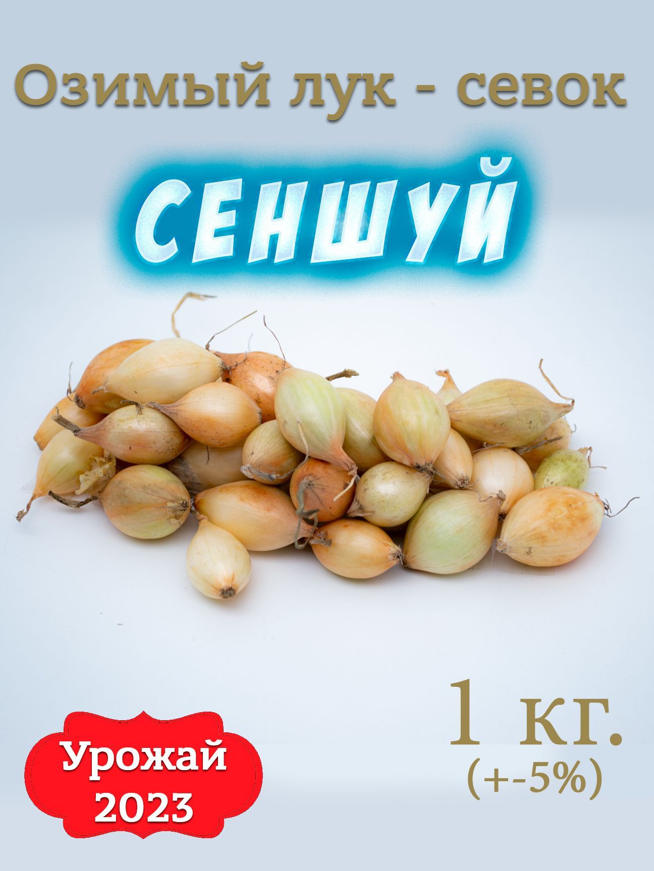 Озимый лук сеншуй описание отзывы и фото Характеристики Лук севок озимый Сеншуй 1 кг., подробное описание товара. Интерне