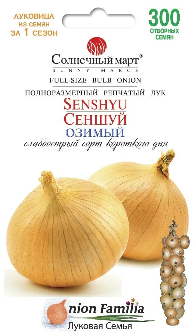 Озимый лук сеншуй описание отзывы и фото НАСІННЯ Лука Сеншуй Купити (8 Грн)