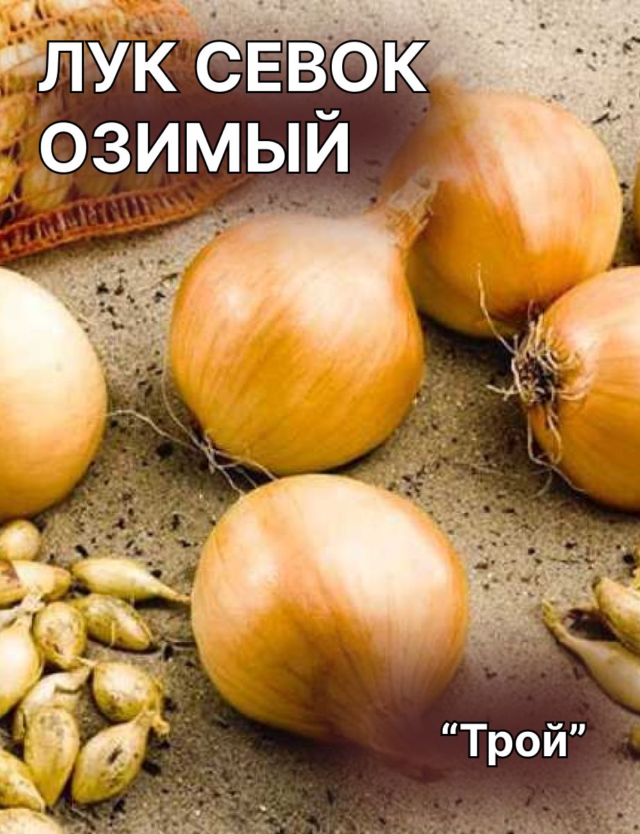 Озимый лук трой описание сорта фото Характеристики Лук севок озимый"Трой" 500г, подробное описание товара. Интернет-