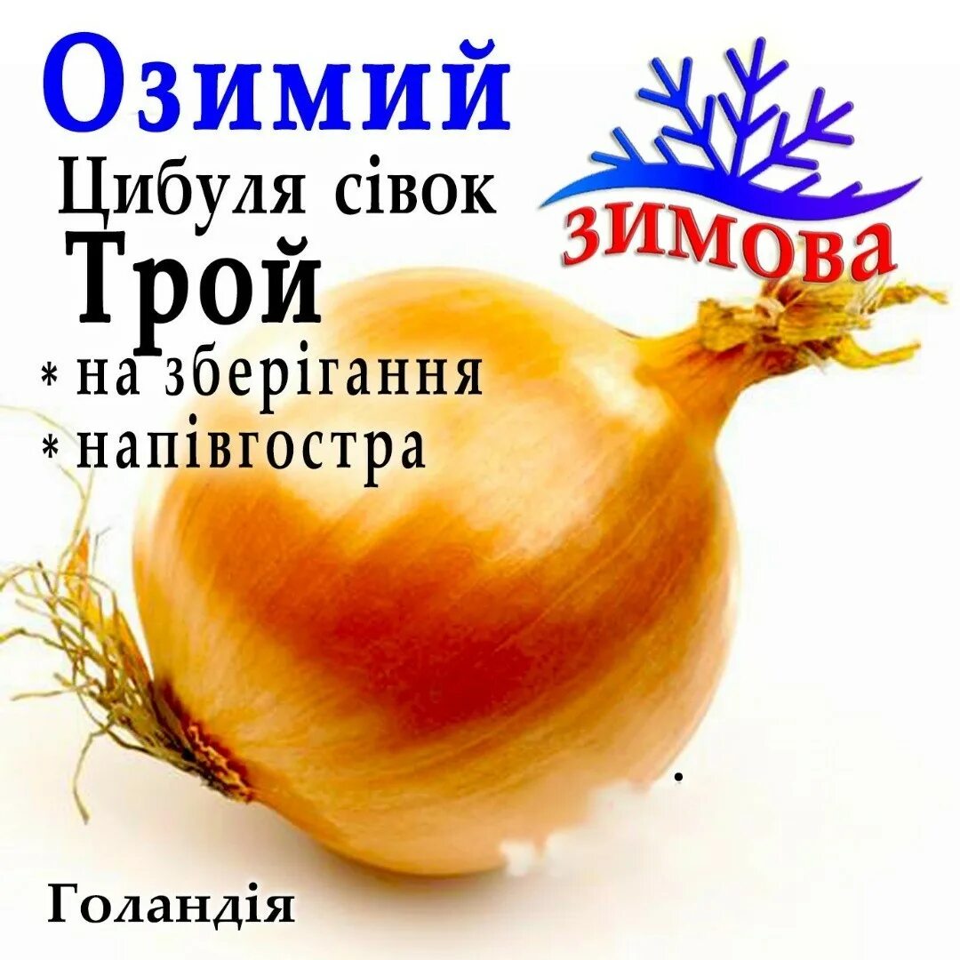 Озимый лук трой описание сорта фото Лук трой описание сорта фото