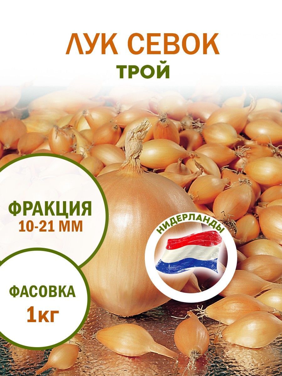 Озимый лук трой описание сорта фото Луковицы купить по выгодной цене в интернет-магазине OZON (1188146770)