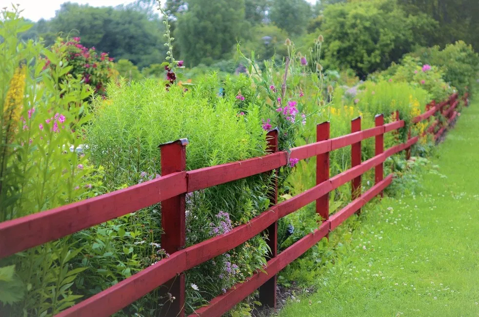 Озон фото забор для дачи Simple Ways to Beautify Fences in Your Landscape Make it a Garden Diy garden fen