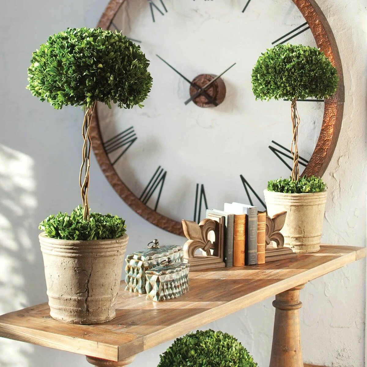 Озон купить декор для дома Uttermost Tree Topiary Preserved Boxwood Preserved boxwood, Preserved boxwood to